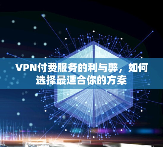VPN付费服务的利与弊，如何选择最适合你的方案