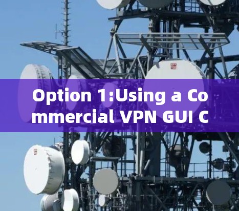 Option 1:Using a Commercial VPN GUI CLI)
