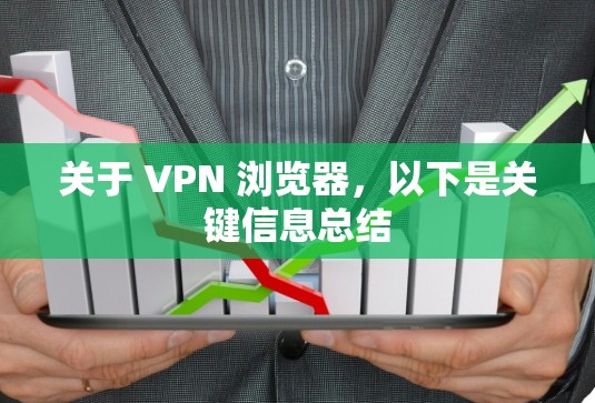 关于 VPN 浏览器，以下是关键信息总结