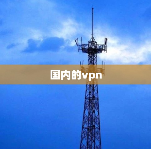 国内的vpn