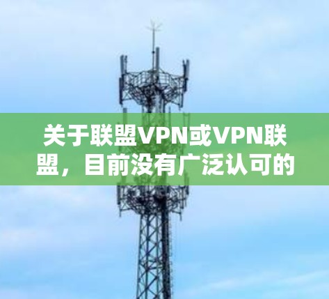 关于联盟VPN或VPN联盟,目前没有广泛认可的标准定义,但根据常见用法,可能涉及以下两种场景