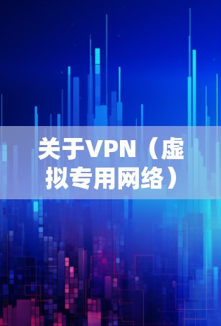 关于VPN(虚拟专用网络)的使用,请注意以下几点重要信息