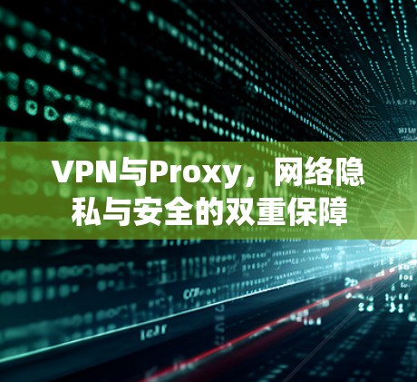 VPN与Proxy,网络隐私与安全的双重保障