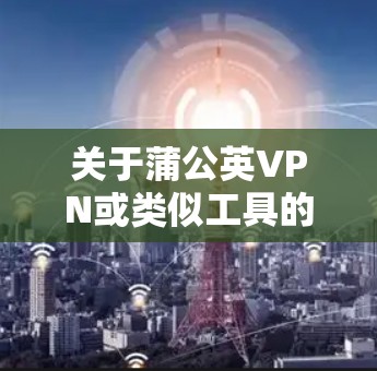 关于蒲公英VPN或类似工具的使用,请注意以下几点重要信息